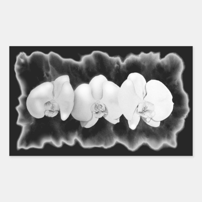 Adesivo Retangular Orquídeas brancas de cor branca escura Elegante (Frente)
