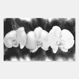 Adesivo Retangular Orquídeas elegantes em aquarela preto e branco