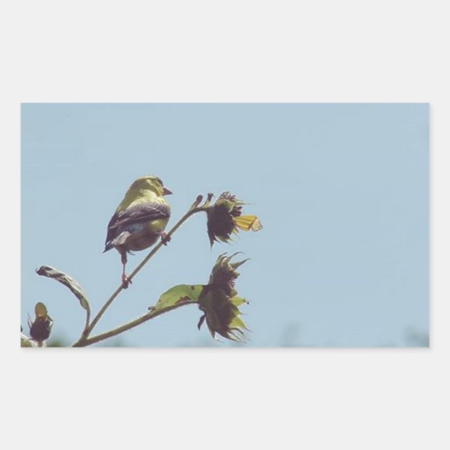 Adesivo Retangular Os meus visitantes favoritos. #ave #natureza #vida (Frente)