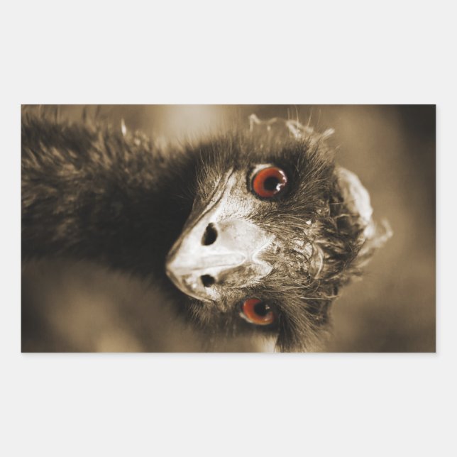 Adesivo Retangular Ostras (Frente)