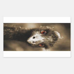 Adesivo Retangular Ostras