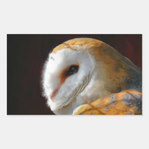 ADESIVO RETANGULAR OWLS