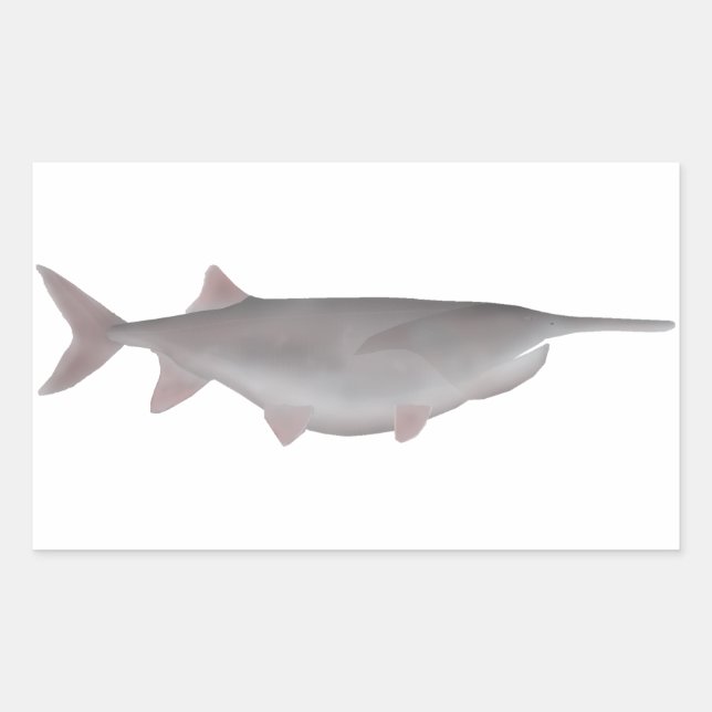 Adesivo Retangular Paddlefish Americano (Frente)
