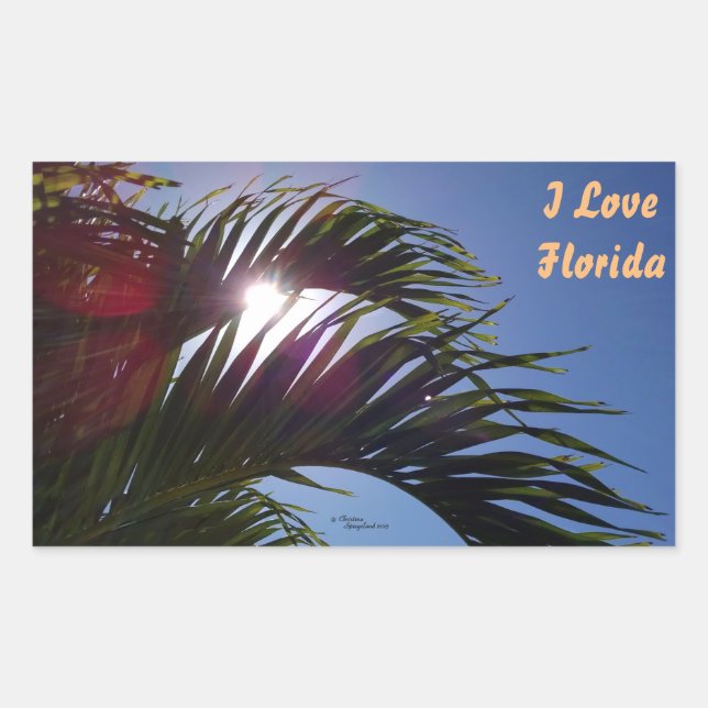 Adesivo Retangular Palmeira I Love Florida Stickers (Frente)