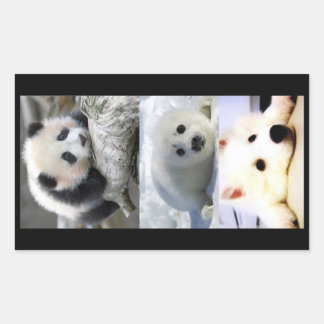 Adesivo Retangular Panda-Seal-Mini-Esquimó Americano