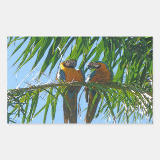 Adesivo Retangular Papagaios - Macacos Azuis e Dourados