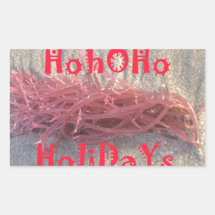Adesivo Retangular Papais noeis HoHo Feliz Natal das cores da praia