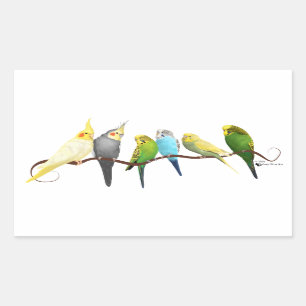 Adesivo Retangular Parakeets & Cockatiels!