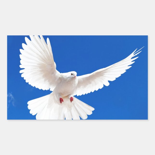 Adesivo Retangular Pássaro Branco Paz Amar Céu Voador (Frente)