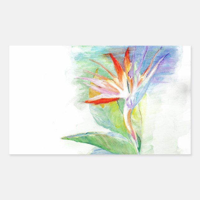 Adesivo Retangular Pássaro do Paraíso (Frente)