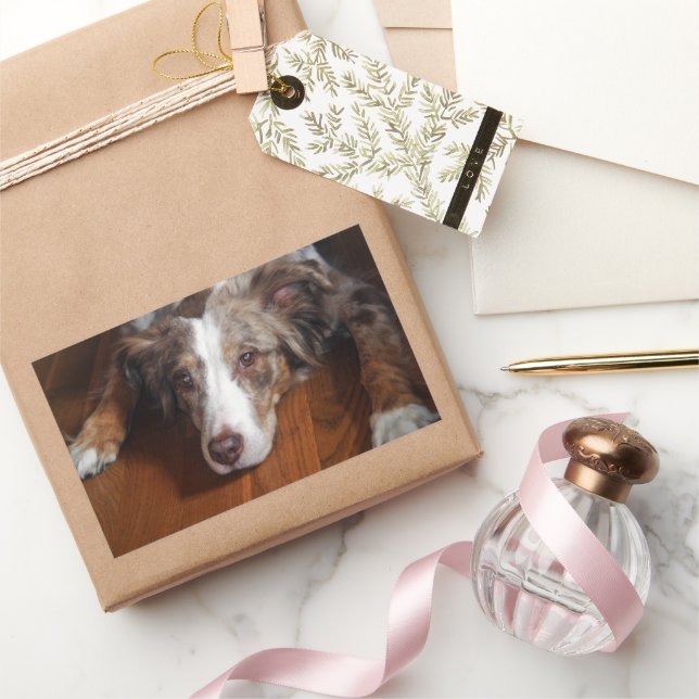 Adesivo Retangular pastor australiano, com serradura vermelha, (Presentear)