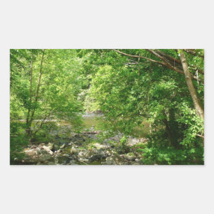 Adesivo Retangular Patapsco River View Maryland - Fotografia Natural