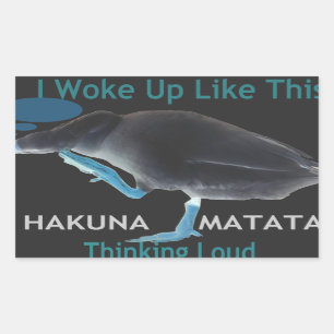 Adesivo Retangular Pato com Eu acordei assim & Hakuna Matata Texto