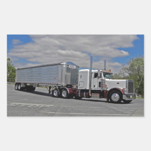 Adesivo Retangular Pau duplo H Pete 379