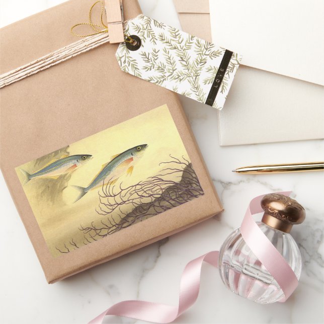 Adesivo Retangular Peixes de sarda que nadam no oceano (Presentear)