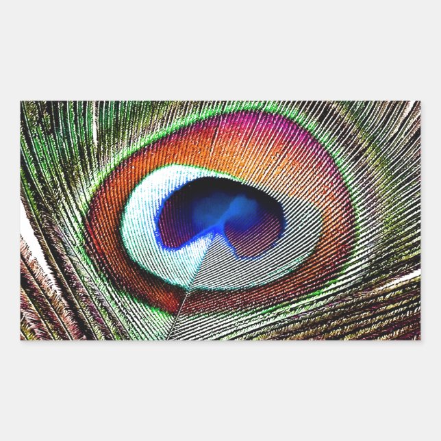 Adesivo Retangular Pena Colorida de Pavão de Cobre (Frente)