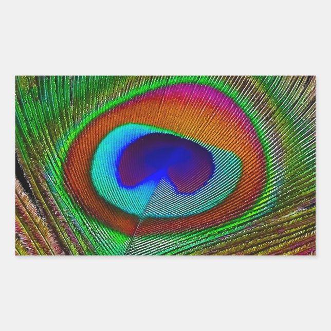 Adesivo Retangular Pena de Pavão de Cobre Vibrante (Frente)