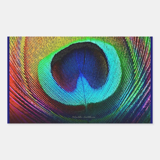 Adesivo Retangular Pena de Peacock Vibrante (Frente)