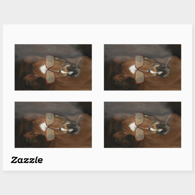 Adesivo Retangular Pentes de charuto de cavalo humorístico fumadores (Folha)