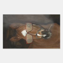 Adesivo Retangular Pentes de charuto de cavalo humorístico fumadores