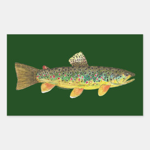 Adesivo Retangular Pesca da truta de Brown