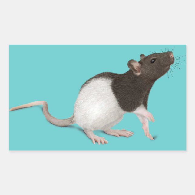 Adesivo Retangular Pet Rat Painting (Frente)