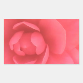 Adesivo Retangular Pink Camellia