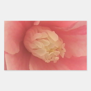 Adesivo Retangular Pink Camellia