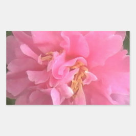 Adesivo Retangular Pink Camellia