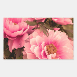 Adesivo Retangular Pink Peony Flower