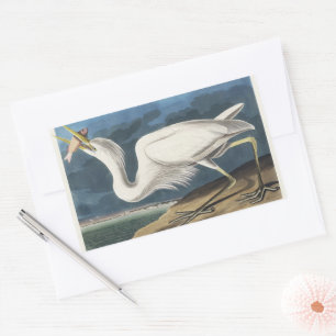 Adesivo Retangular Pintura de vida selvagem do Excelente de Audubon