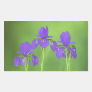 Adesivo Retangular Pintura em Íris Roxa - Arte em Flor Original