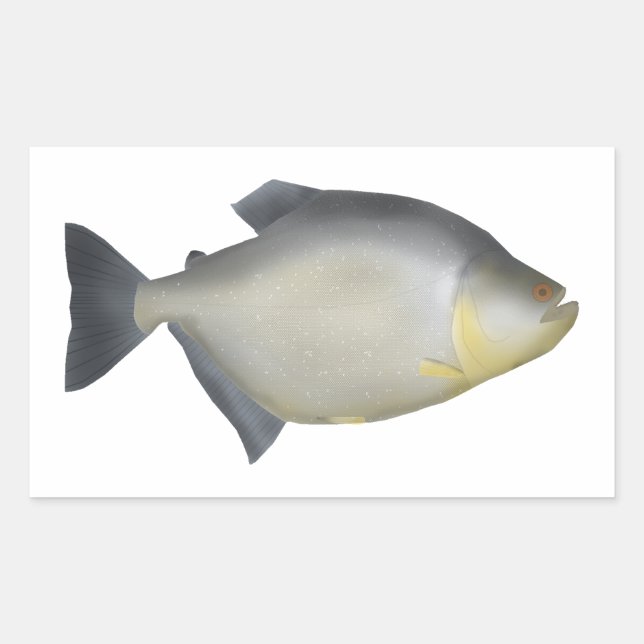 Adesivo Retangular Piranha Manchada (Frente)