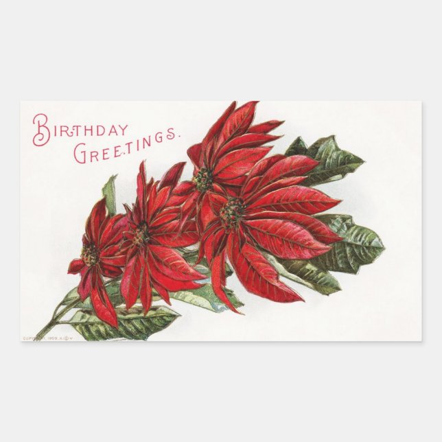 Adesivo Retangular Poinsettia Dezembro Vinheta Retangular de Aniversá (Frente)