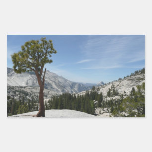 Adesivo Retangular Ponto Olmsted I no Parque Nacional de Yosemite