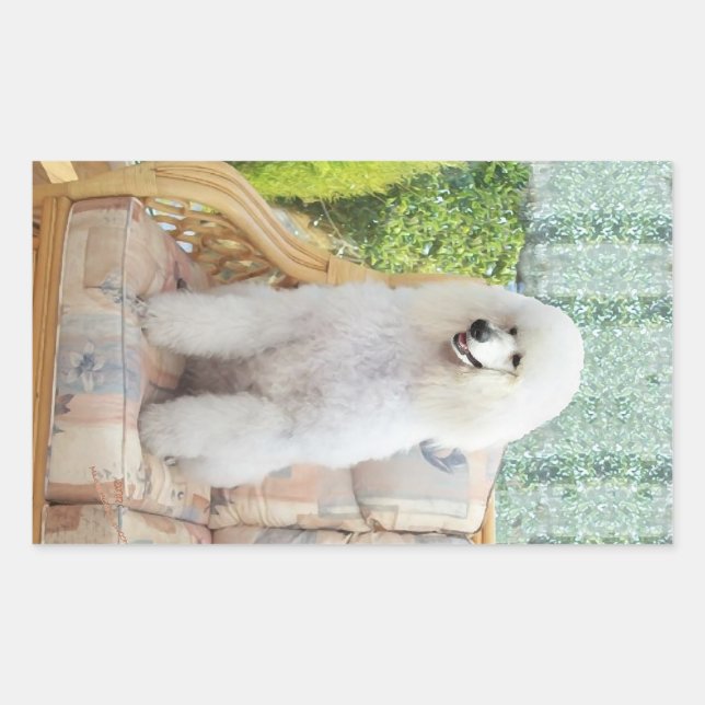 Adesivo Retangular Poodle Padrão Branco (Frente)
