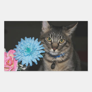Adesivo Retangular Posse de Gato com Flores