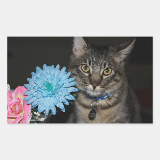 Adesivo Retangular Posse de Gato com Flores (Frente)