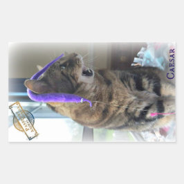 Adesivo Retangular PR Caesar Sticker