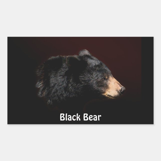 Adesivo Retangular Presentes de Vestido Selvagem do Urso Negro (Frente)