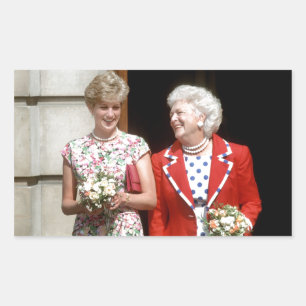 Adesivo Retangular Princesa Diana-Barbara Bush