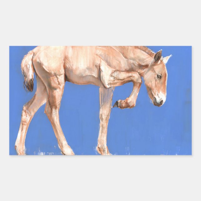 Adesivo Retangular Przewalski Foal 2012 (Frente)