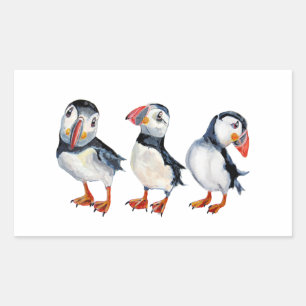 Adesivo Retangular Puffins