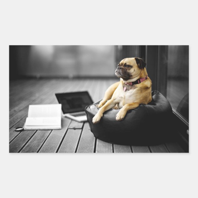 Adesivo Retangular Pug at Rest (Frente)
