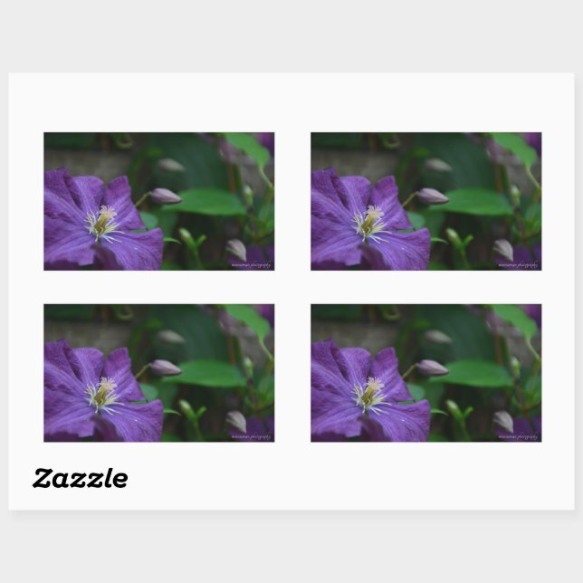 Adesivo Retangular Purple Clematis (Folha)