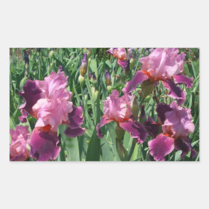 Adesivo Retangular Purple Irises Primavera Floral