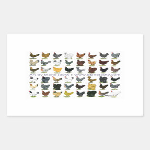 Adesivo Retangular Quarenta e oito Promo da galinha