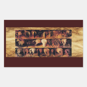 Adesivo Retangular Quarto traseiro dos cavalos, pergaminho