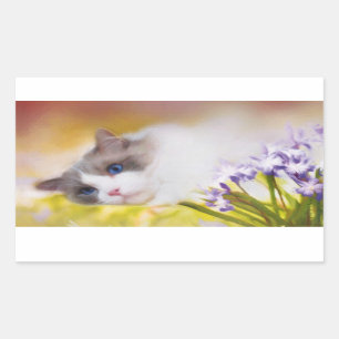 Adesivo Retangular Ragdoll Cat Stickers