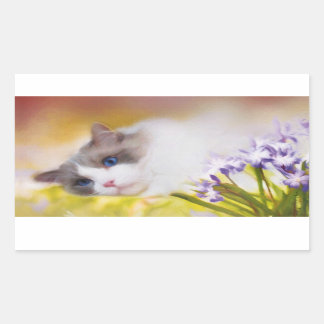 Adesivo Retangular Ragdoll Cat Stickers